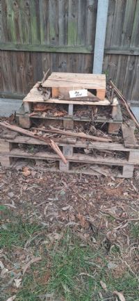 Bug hotel in the Hive garden