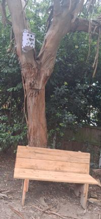 Bird feeder in the Hive garden